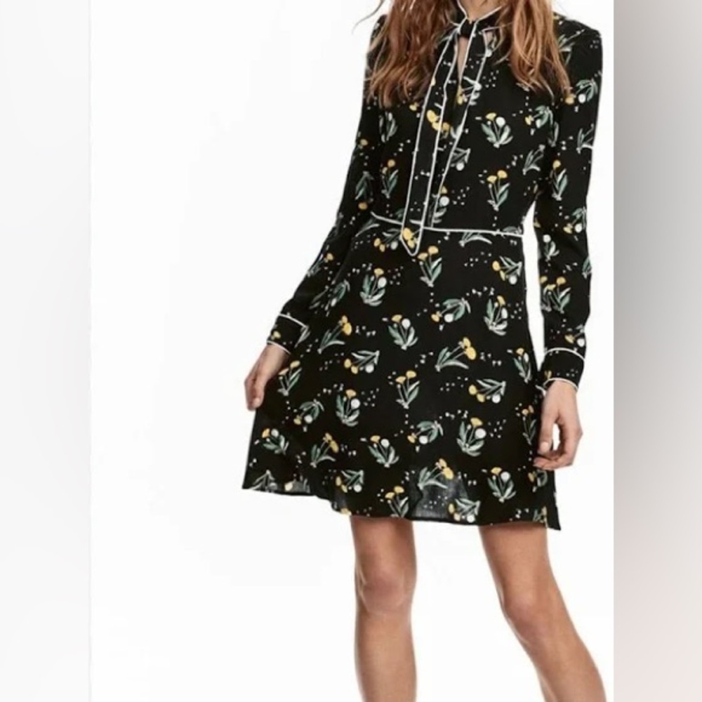 H&M Retro Dandelion Floral 70s Mod Dress Size 2